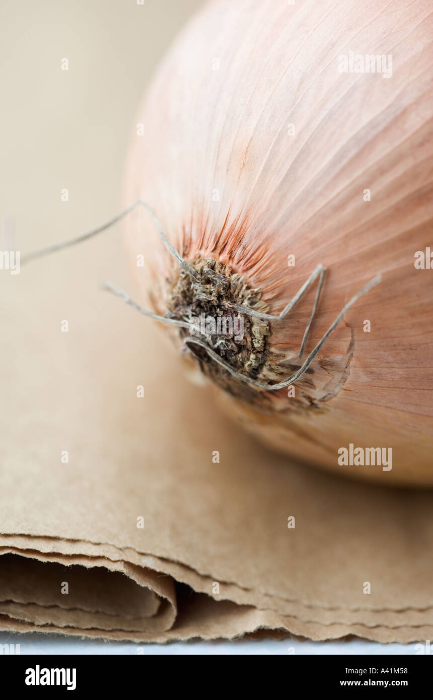 Ancora la vita di una cipolla Foto Stock