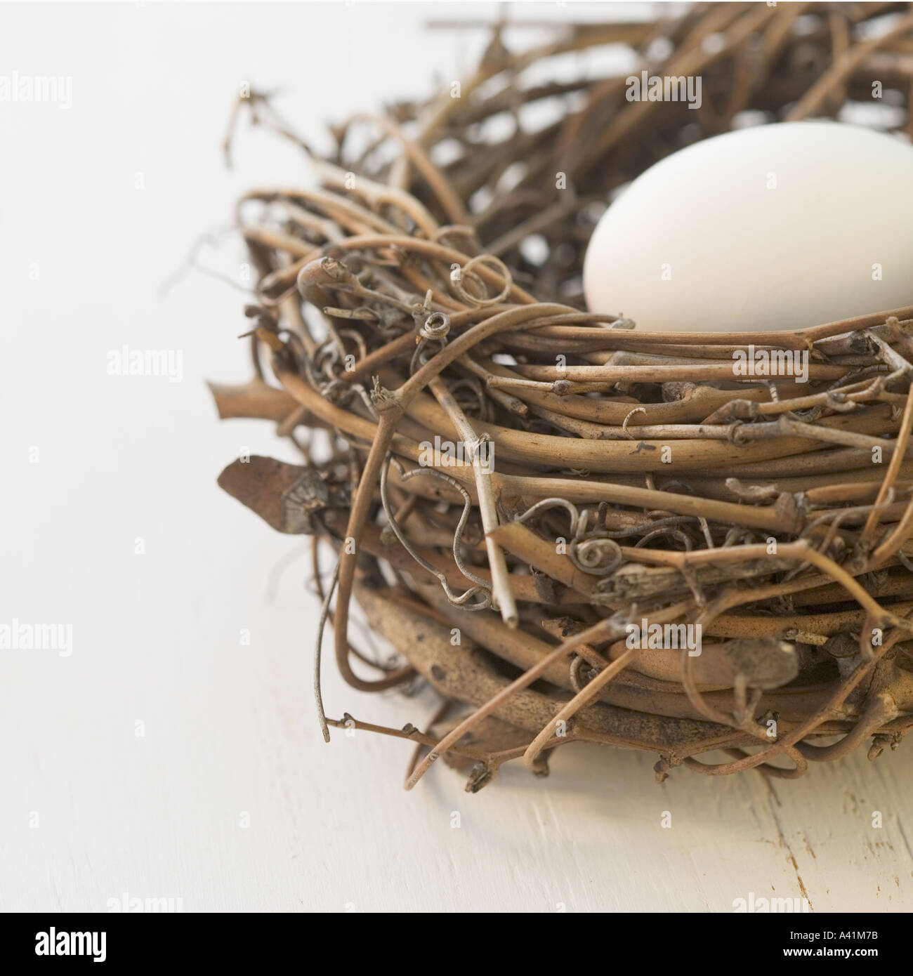 Ancora in vita di uovo in un nido Foto Stock