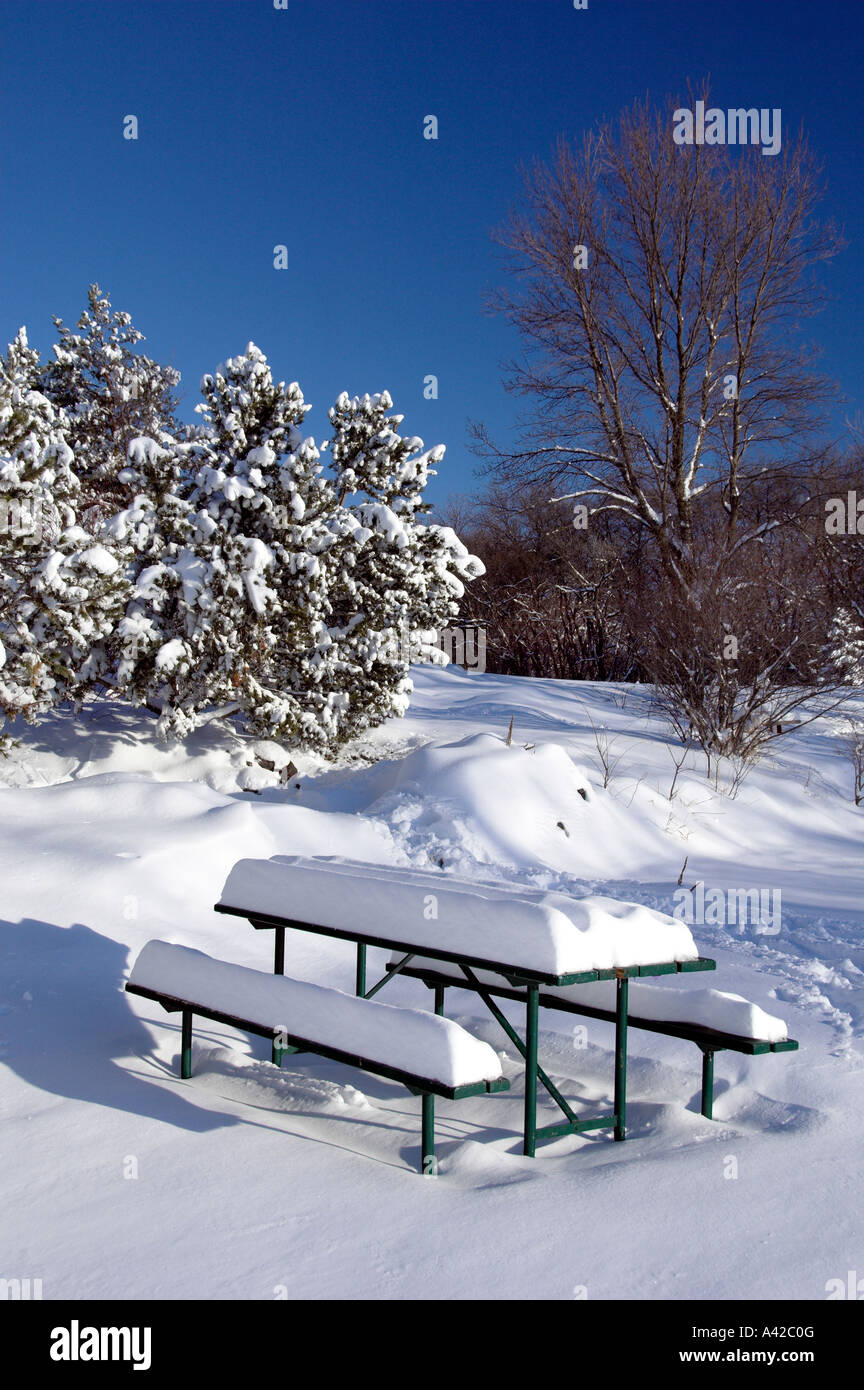 Un tavolo da picnic coperta di neve fresca in King s Park in Winnipeg Manitoba Canada Foto Stock