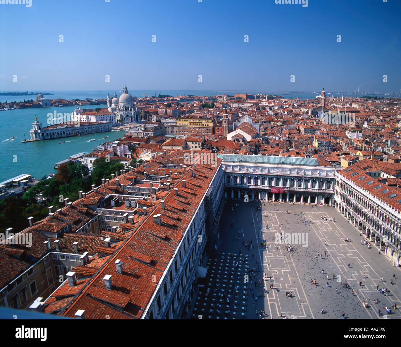 Italia Venezia piazza San Marco San Marco uccelli vista agli occhi dei turisti Foto Stock