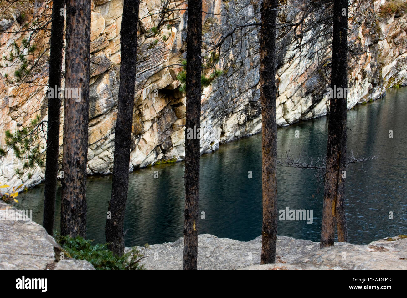 Il lago a ferro di cavallo e da alberi di pino, il Parco Nazionale di Jasper, Alberta, Canada Foto Stock