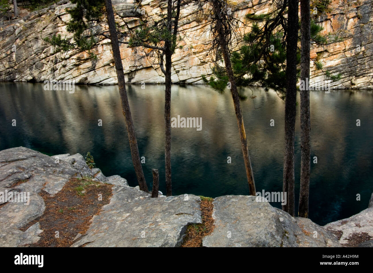 Il lago a ferro di cavallo e da alberi di pino, il Parco Nazionale di Jasper, Alberta, Canada Foto Stock