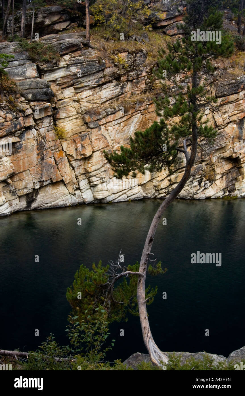Il lago a ferro di cavallo e da alberi di pino, il Parco Nazionale di Jasper, Alberta, Canada Foto Stock