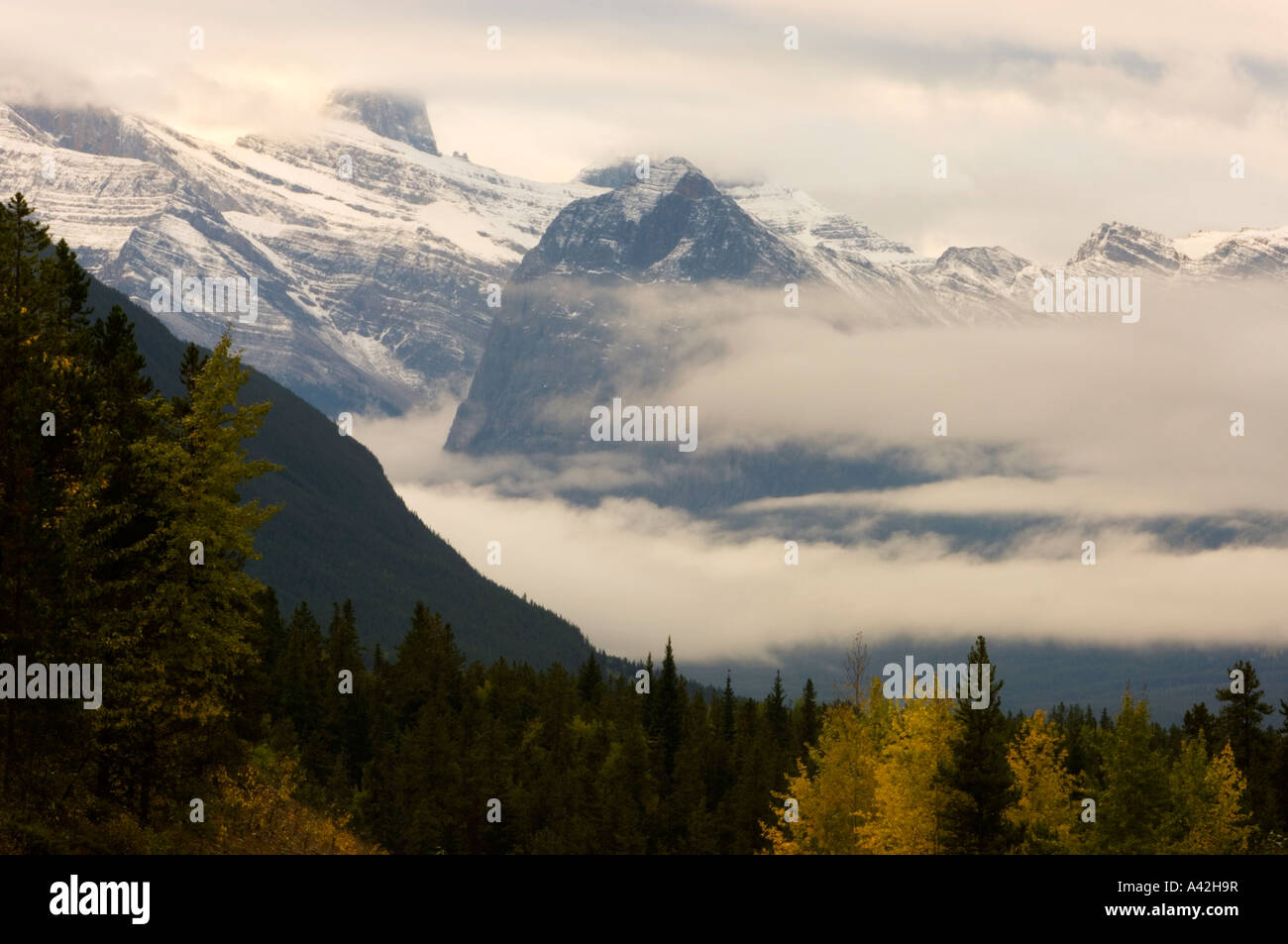 Mt. Christie e Mt. Fryatt nelle nuvole, il Parco Nazionale di Jasper, Alberta, Canada Foto Stock