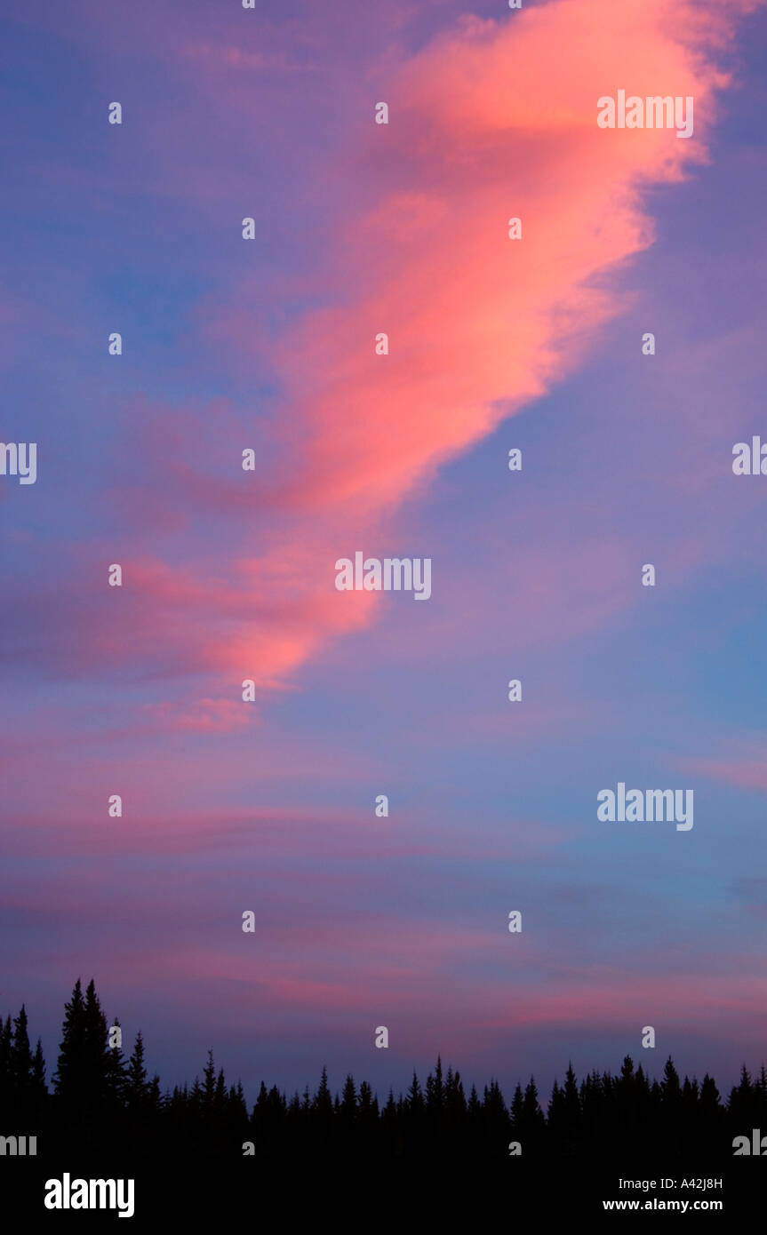 Colori del tramonto sulle nubi su alberi di pino vicino Lago Inferiore, Peter Lougheed Parco Provinciale, Alberta, Canada Foto Stock