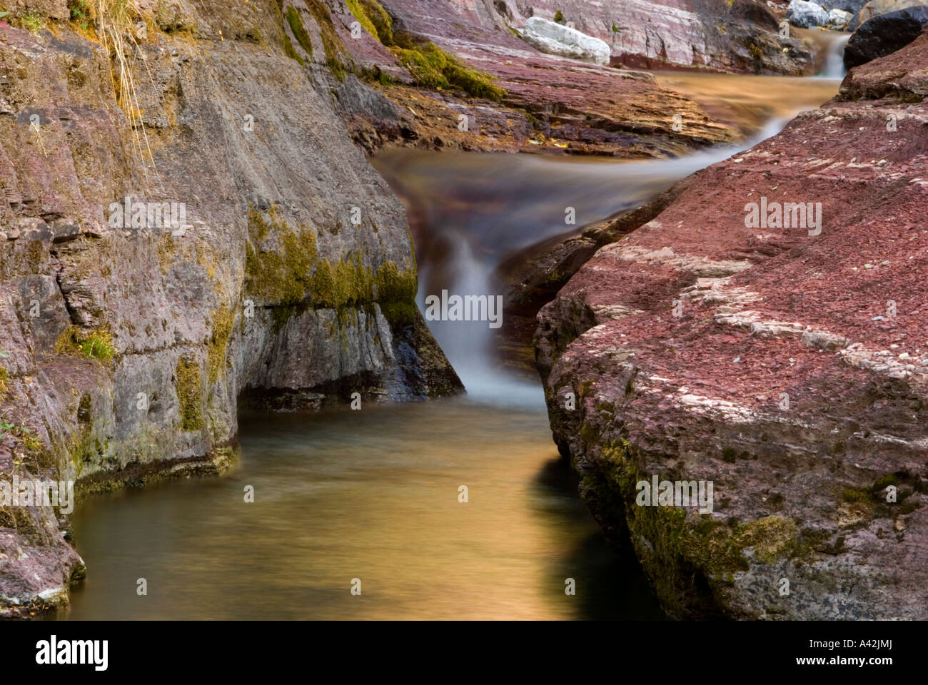 Cascata su Dead Horse Creek, Parco Nazionale dei laghi di Waterton, Alberta, Canada Foto Stock