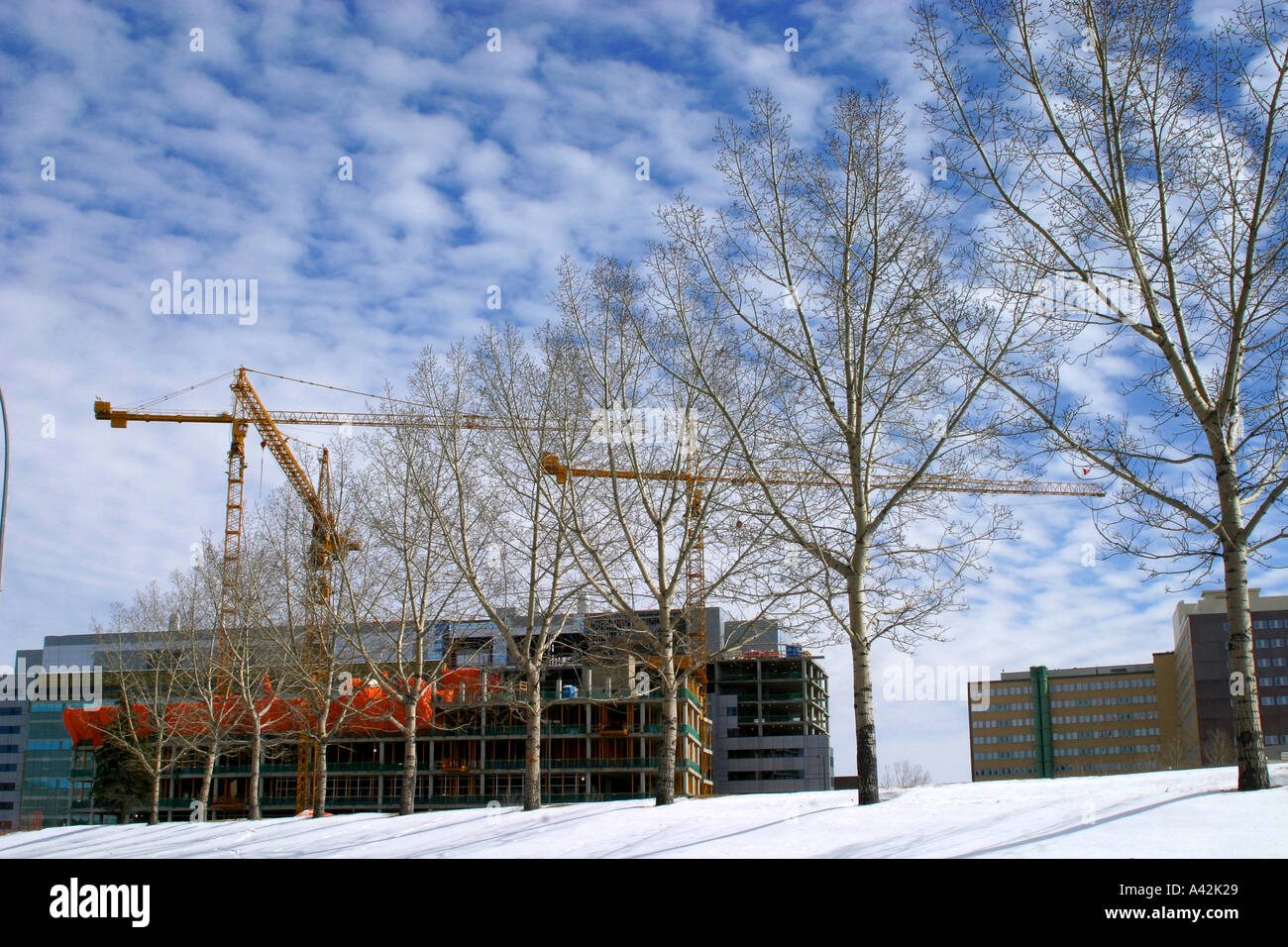 Gru da cantiere a bambini s hospital in Canada Foto Stock