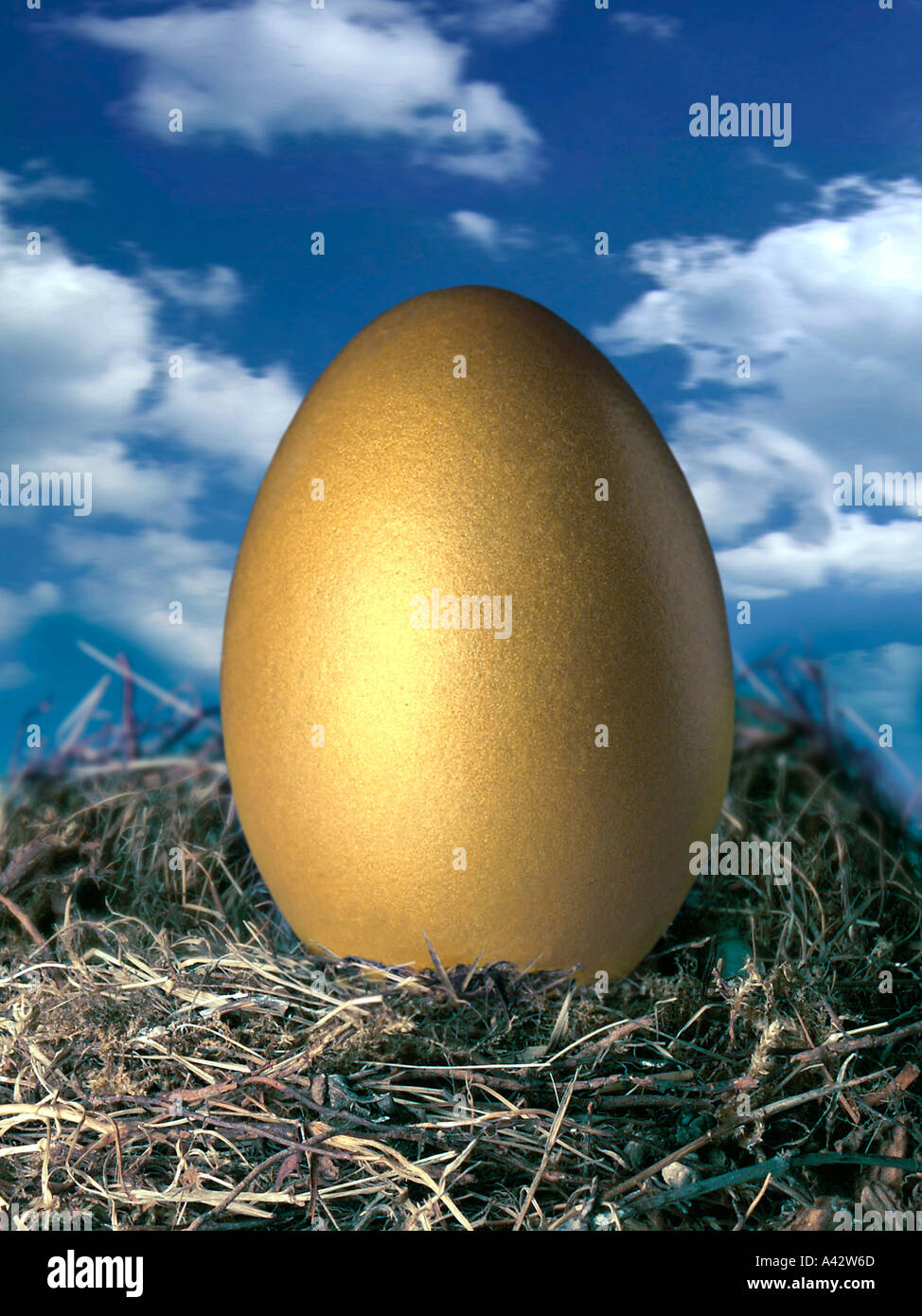 Golden Egg nel nido in background nuvole Goldenes Ei im Nest im Hintergrund Wolken Foto Stock
