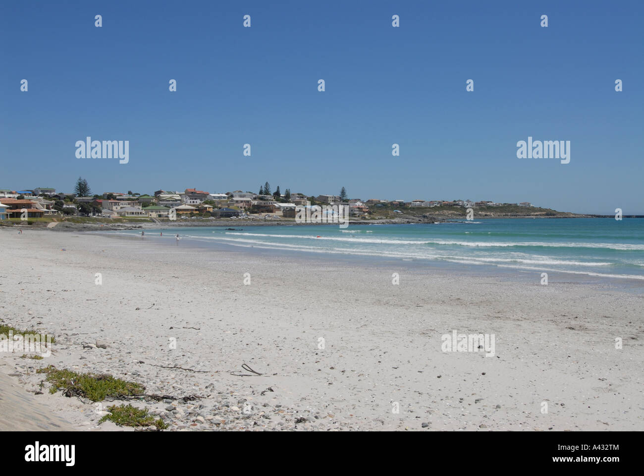 La spiaggia di Yzerfontein e il Yzerfontein urban area Conservancy Foto Stock