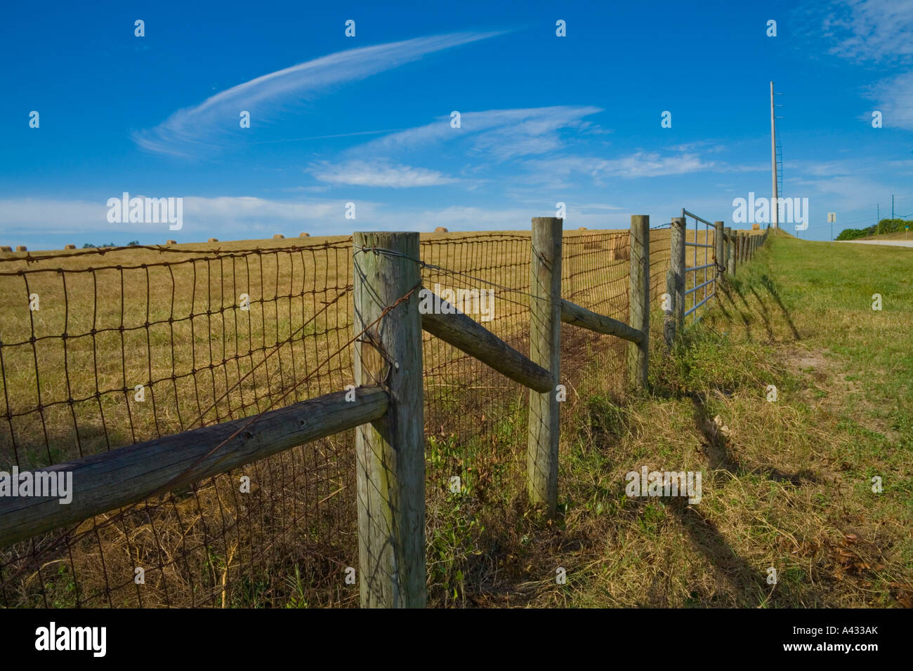 Staccionata lungo il bordo di un campo, Polk County, Florida, Stati Uniti d'America Foto Stock