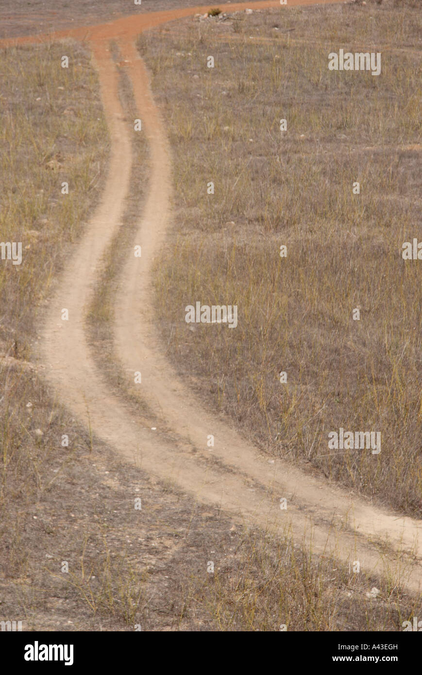 Strada sterrata Foto Stock