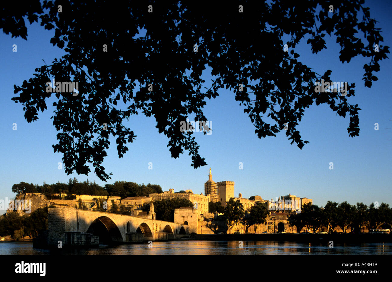 Francia Provenza Midi Avignon Palazzo Papale Palais des Papes Bridge Foto Stock Francia Provenza Midi Avignon Palazzo Papale Palais des Papes Bridge Foto Stock