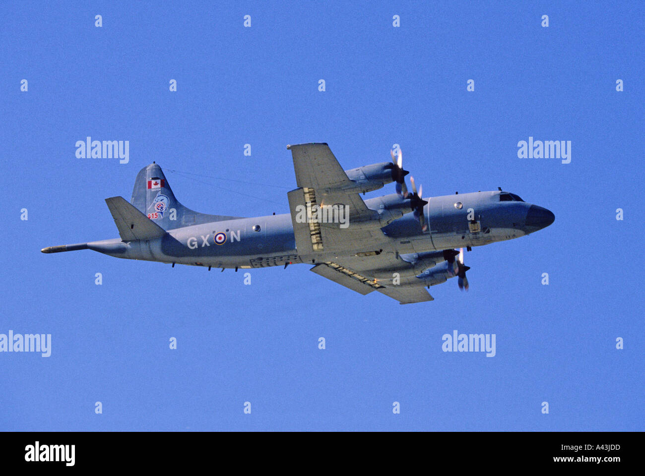 Forze armate canadesi Lockheed P-3 Orion aerei ASW Foto Stock