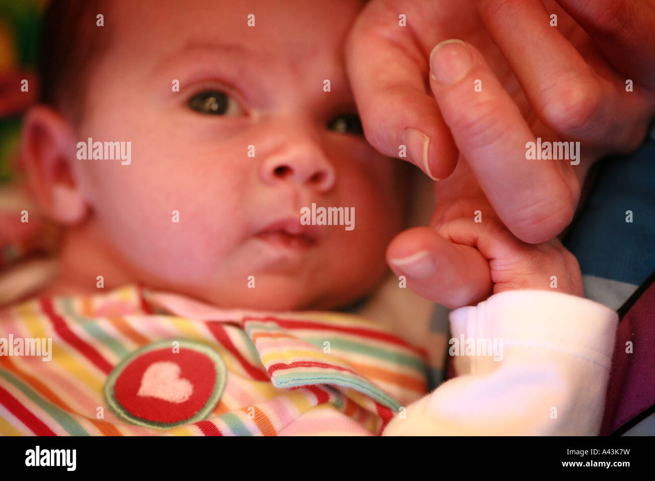 Primo piano di un grazioso adorabili neonato tenendo la presa la sua madri dito con la mano sinistra e piccolo bambino dita Foto Stock