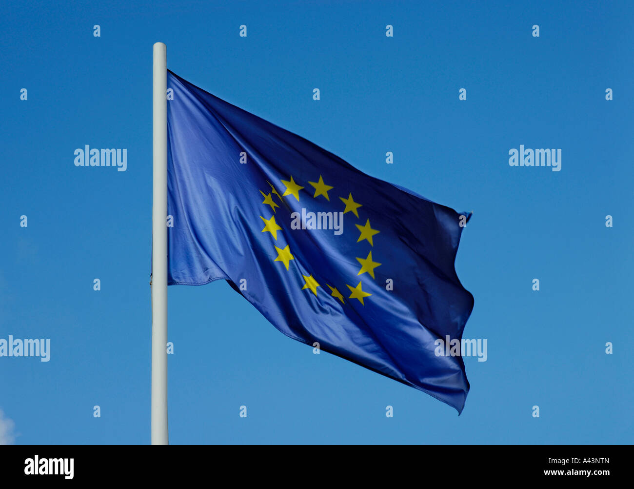 Bandiera dell'Unione europea Foto Stock