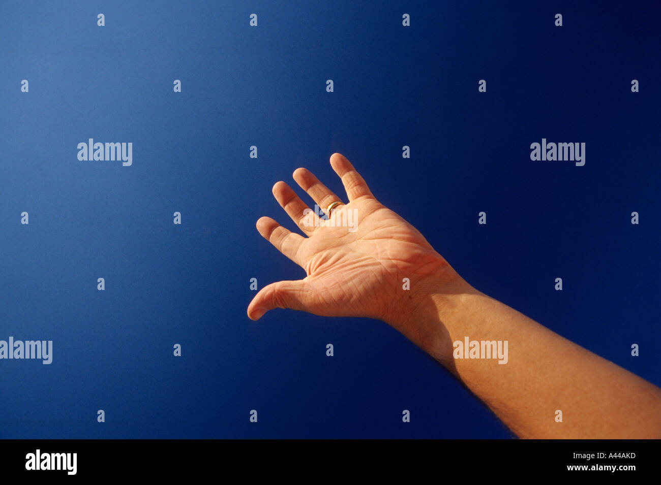 La mano che mostra palm e cinque dita reacing fuori Foto Stock