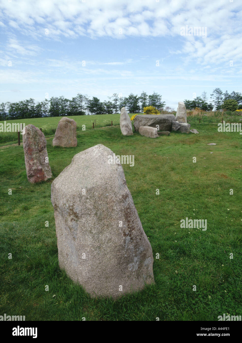 Dh Pasqua pietre Aquhorthies INVERURIE ABERDEENSHIRE Recumbent standing cerchio di pietra con pietra orizzontale Foto Stock