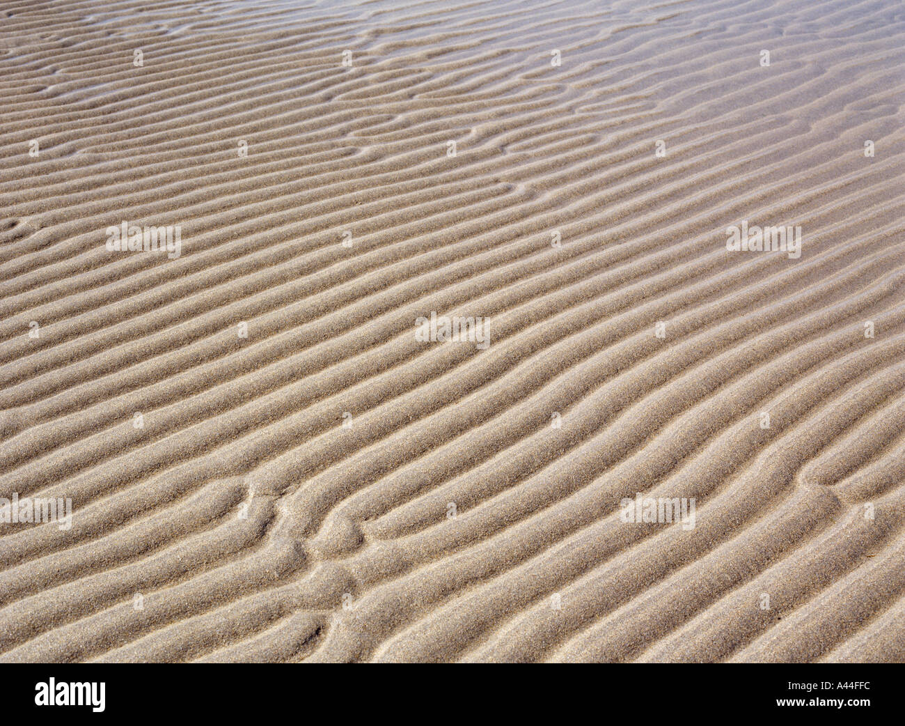 dh Chiudi texture SABBIA SFONDI SFONDO MODELLO Ayre di Cha spiaggia di sabbia creste increspate Foto Stock