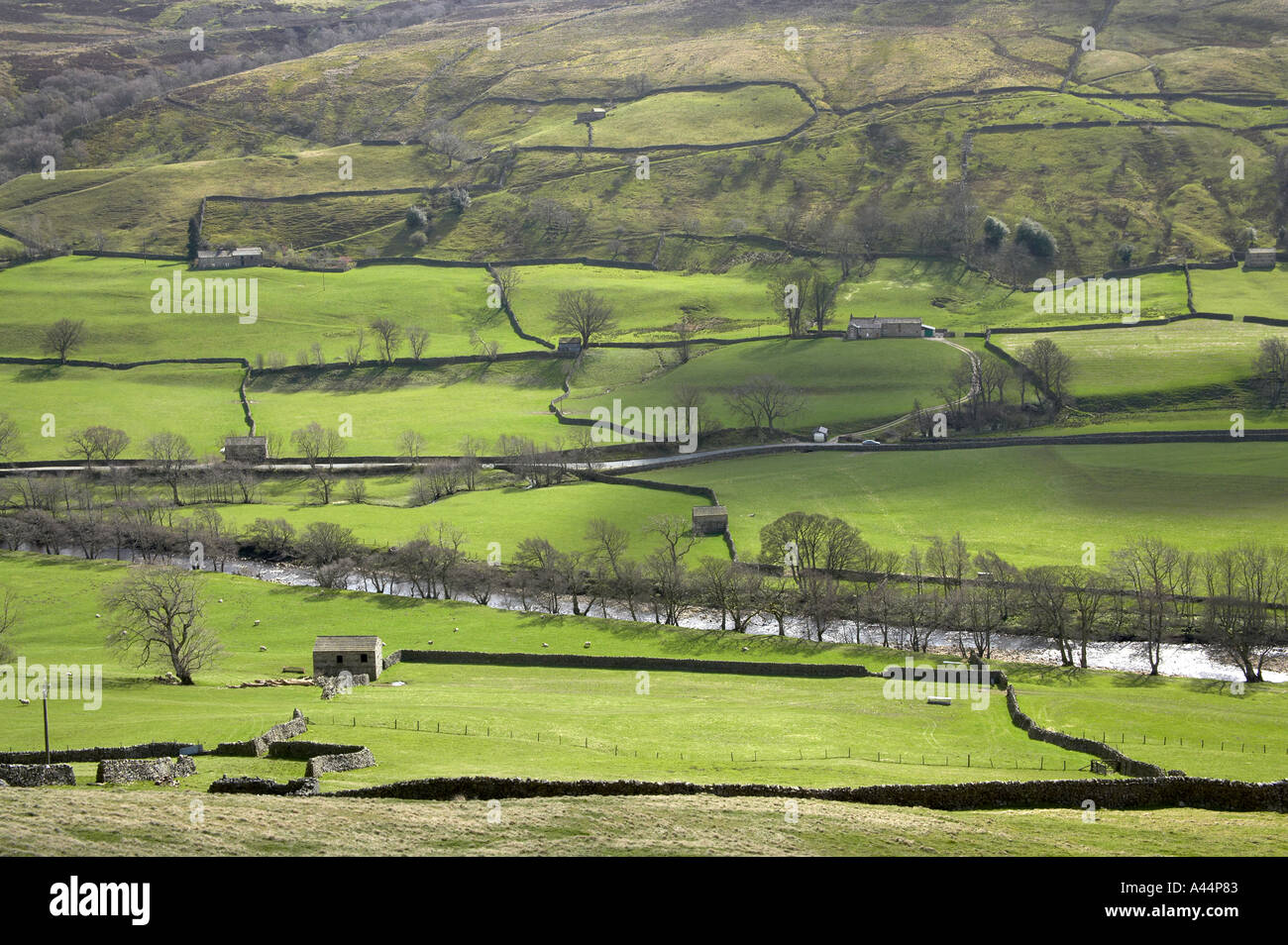Fiume Swale vicino Muker Swaledale North Yorkshire Foto Stock