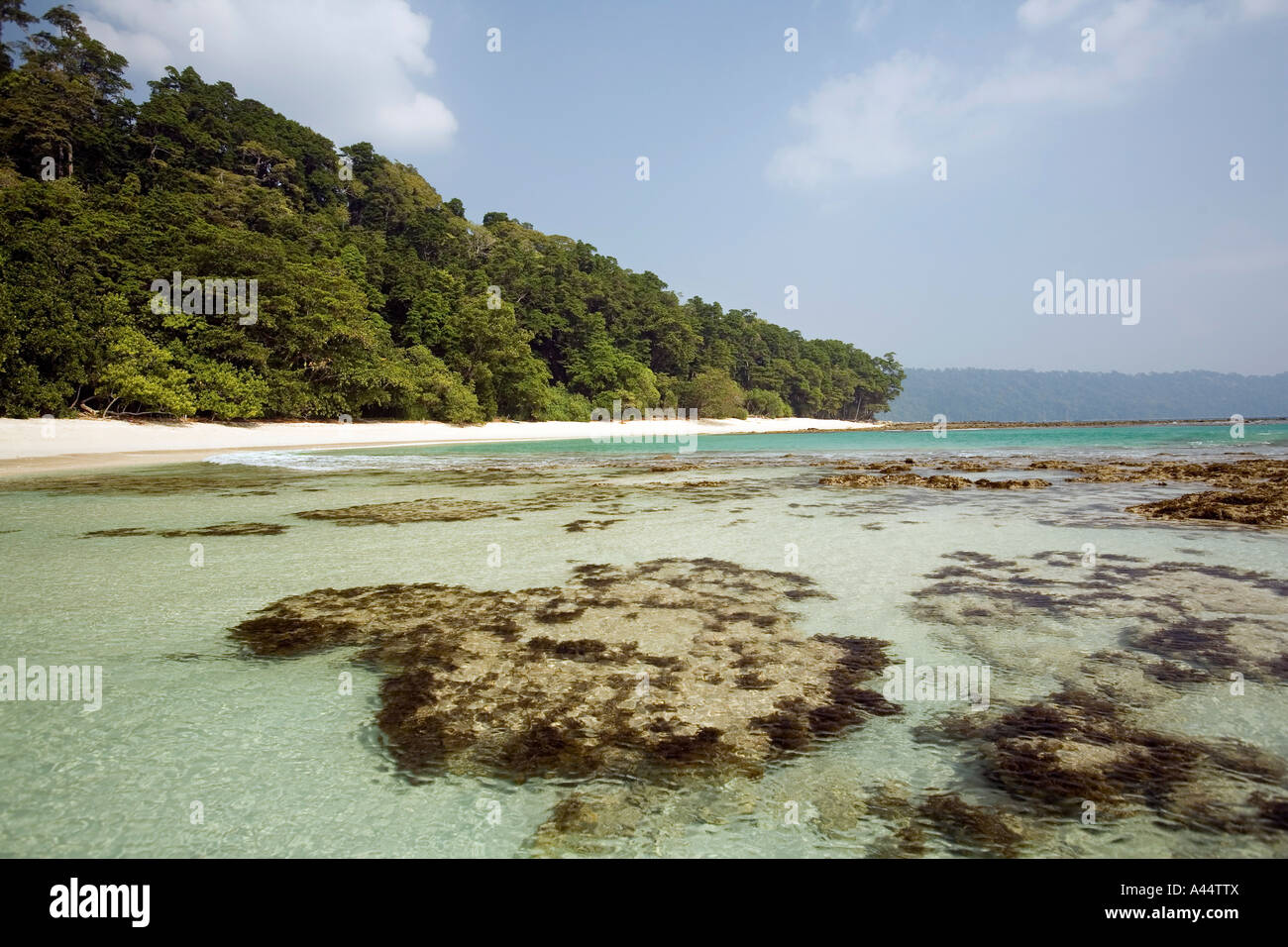 India Andamane e Nicobare Havelock Island Radha Nagar di teste di corallo sulla curva spiaggia Laguna Foto Stock