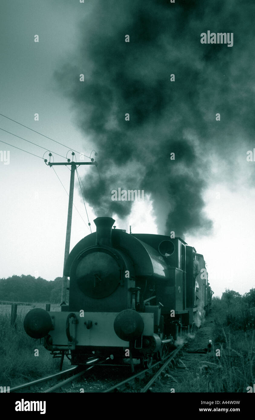 Serbatoio a sella treni a vapore in Full Steam.Loro sono due motori collegati insieme ,l'ultimo essendo nascosto da quello davanti. Foto Stock