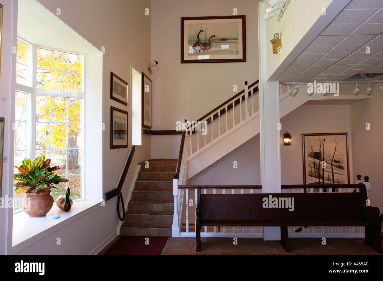 AJD53784, Waynesboro, VA, Virginia, Shenandoah Valley, P Buckley Moss Museum Foto Stock