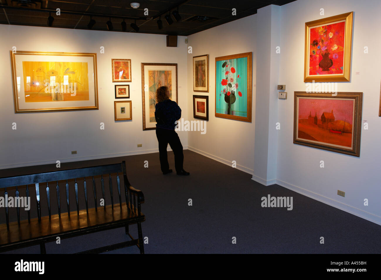 AJD53786, Waynesboro, VA, Virginia, Shenandoah Valley, P Buckley Moss Museum Foto Stock