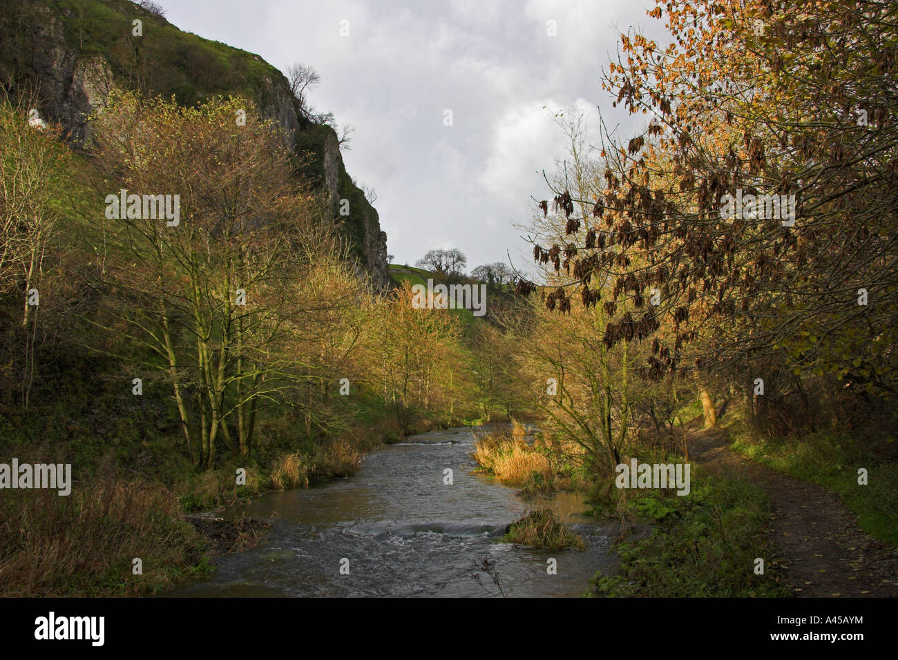 Corvi Tor e il fiume Colomba vicino a Milldale, Dovedale, Derbyshire / Staffordshire frontiera, Parco Nazionale di Peak District, Inghilterra Foto Stock