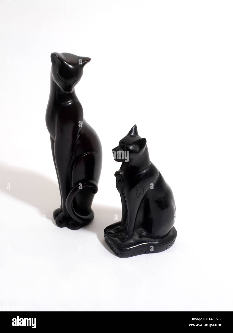 Due gatti neri Foto Stock