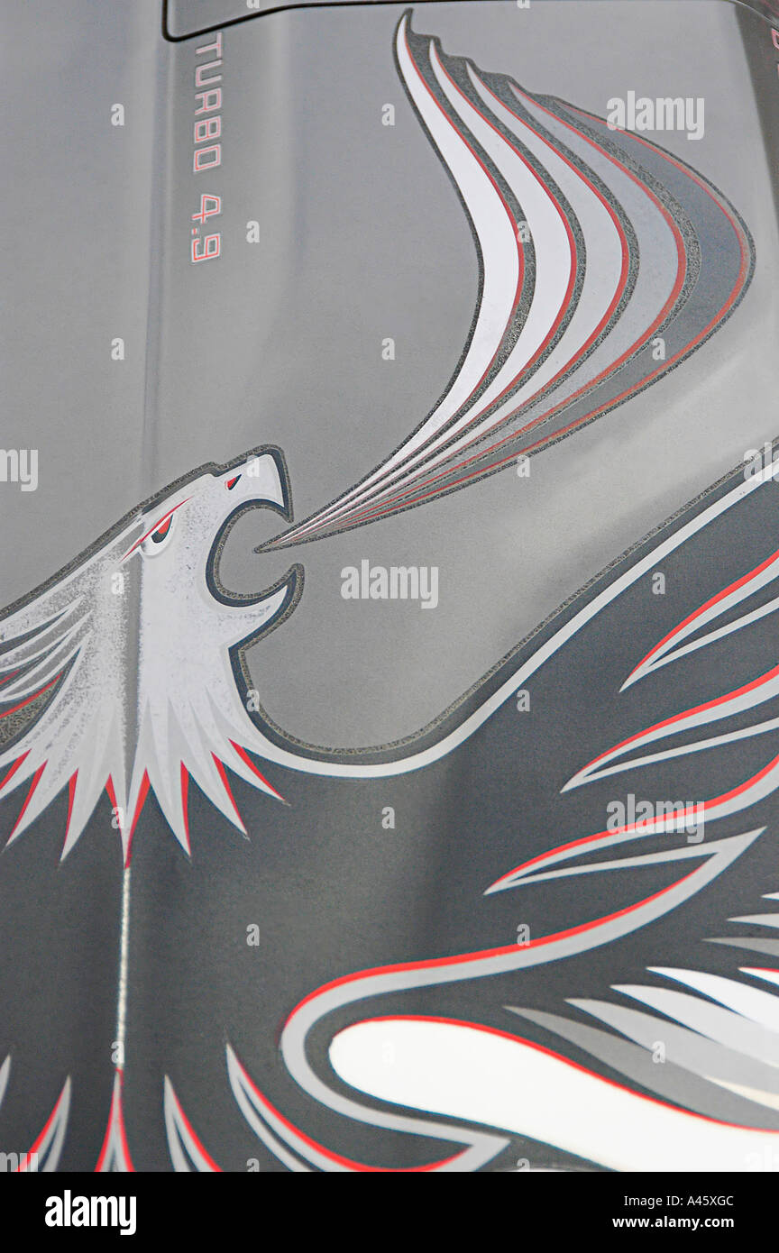 Un Eagle sul cofano di un'auto americana Foto Stock