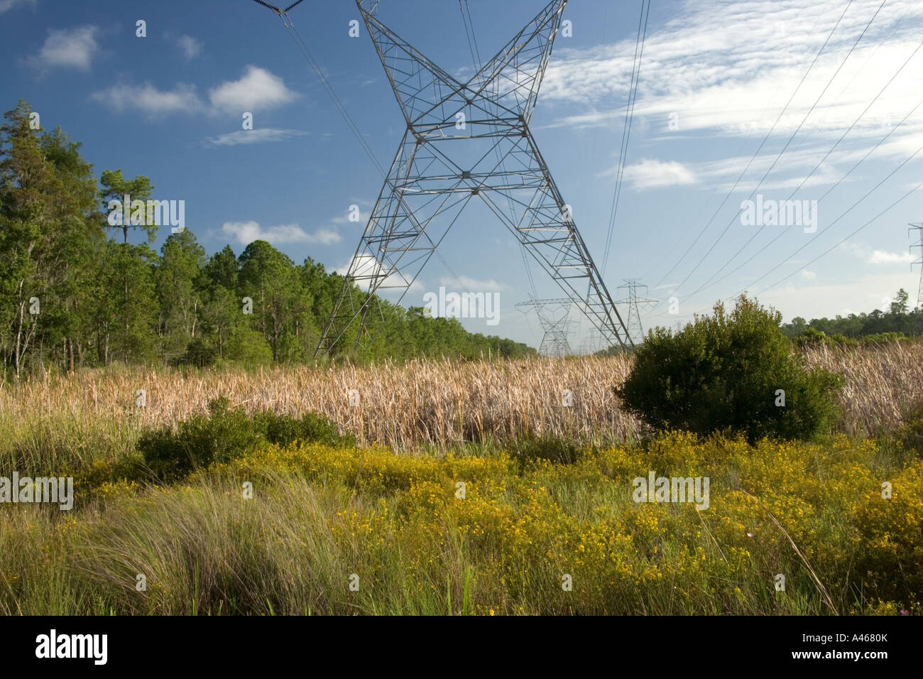 Zincato trasmissione elettrica torri, Florida Foto Stock