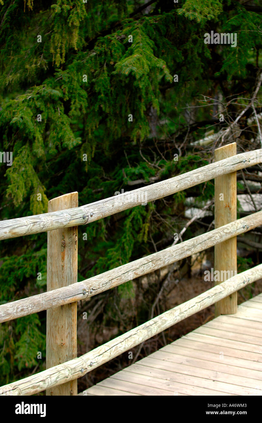 Design della passerella in legno immagini e fotografie stock ad alta ...
