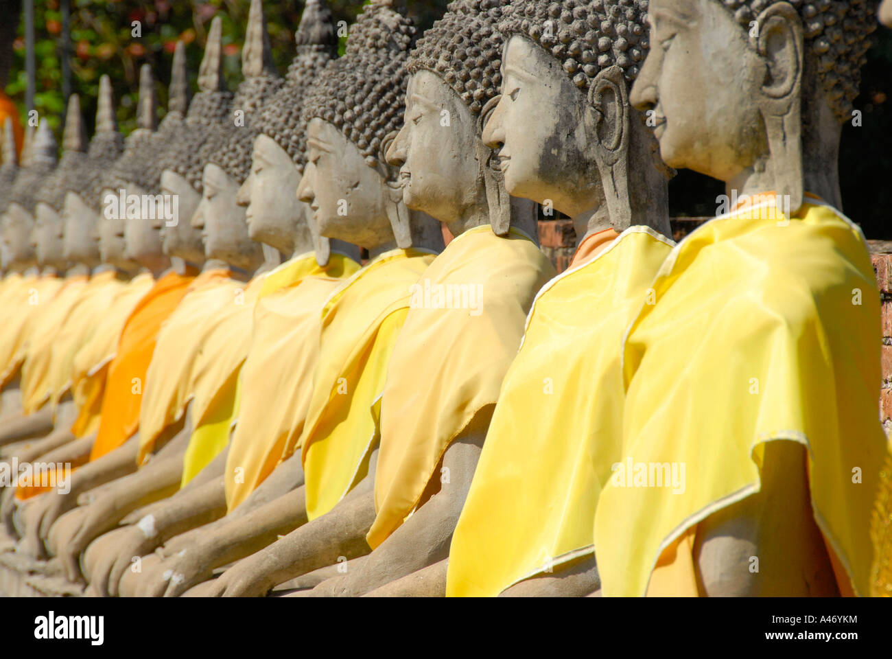 Molte figure di Buddha in una fila con panno giallo Wat Yai Chai Mongkol Ayutthaya Thailandia Foto Stock