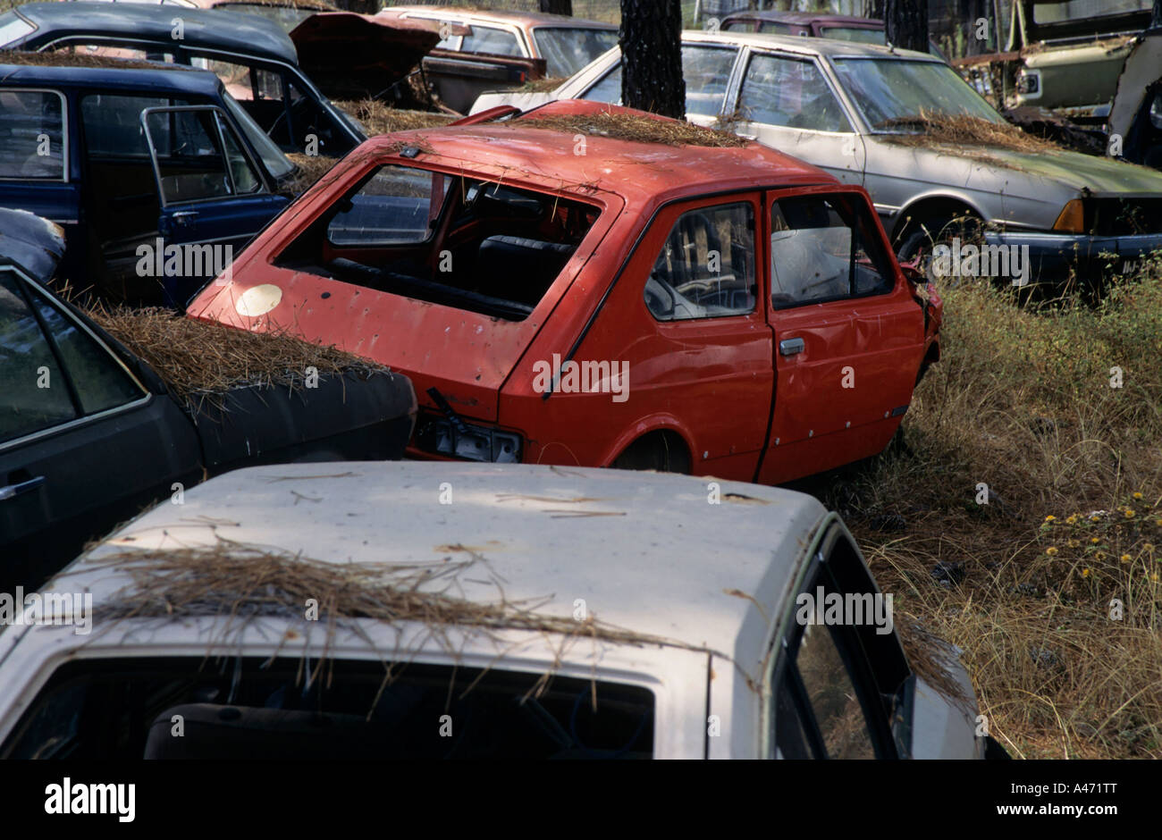 Auto rottamate in una foresta Foto Stock