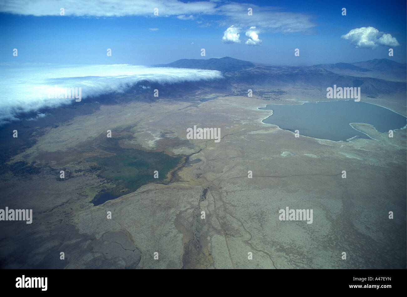 Vista aerea del cratere di Ngorongoro Tanzania Africa orientale Foto Stock