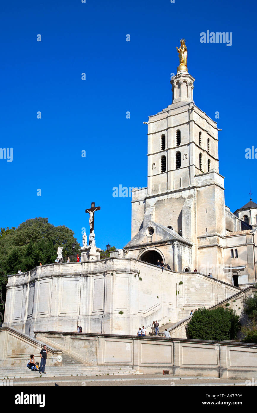 La cattedrale di Notre Dame des Doms, Avignone, Provenza, Francia. Foto Stock