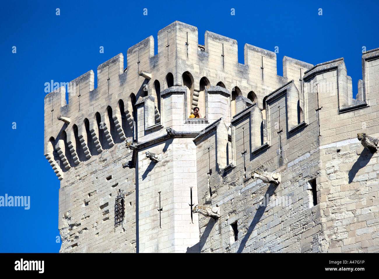 Le fortificazioni del Palais des Papes, Avignone, Provenza, Francia. Foto Stock
