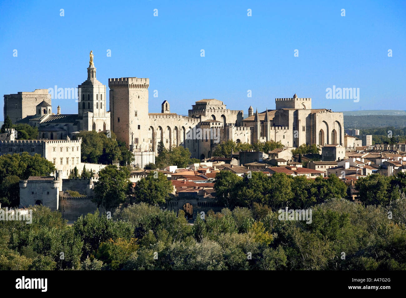 Palais des Papes e la Cattedrale Notre Dame des Doms, Avignon, Francia. Foto Stock