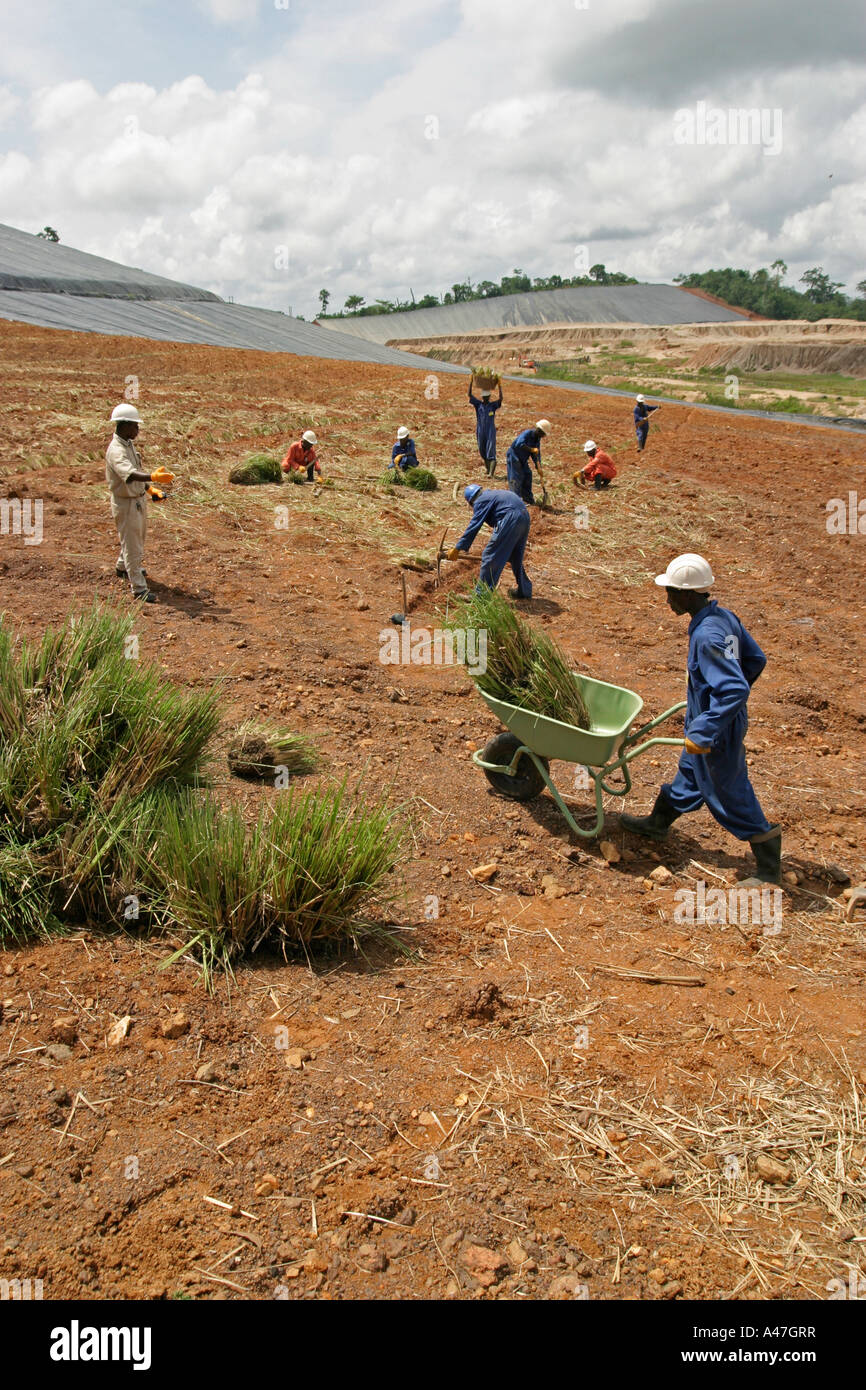 Lavoratori ambientale e assistenti di campo piantando erba a riabilitare heap leach pit, superficie miniera d'oro, Ghana, Africa occidentale Foto Stock