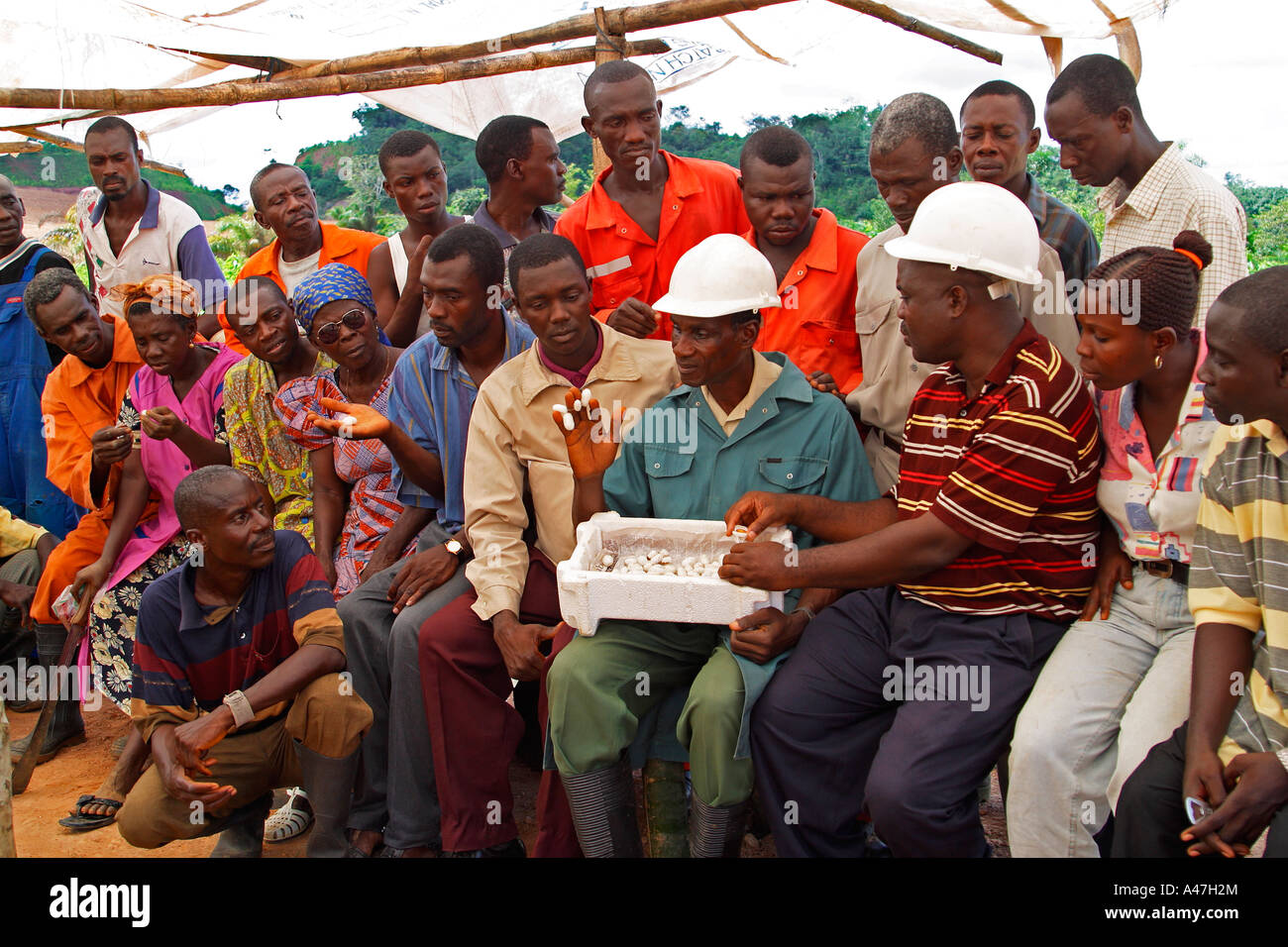 Introduzione di cooperative di agricoltori di seta di allevamento della vite senza fine, una variante di mezzi di sostentamento progetto sulla miniera d'oro, Ghana, Africa occidentale Foto Stock