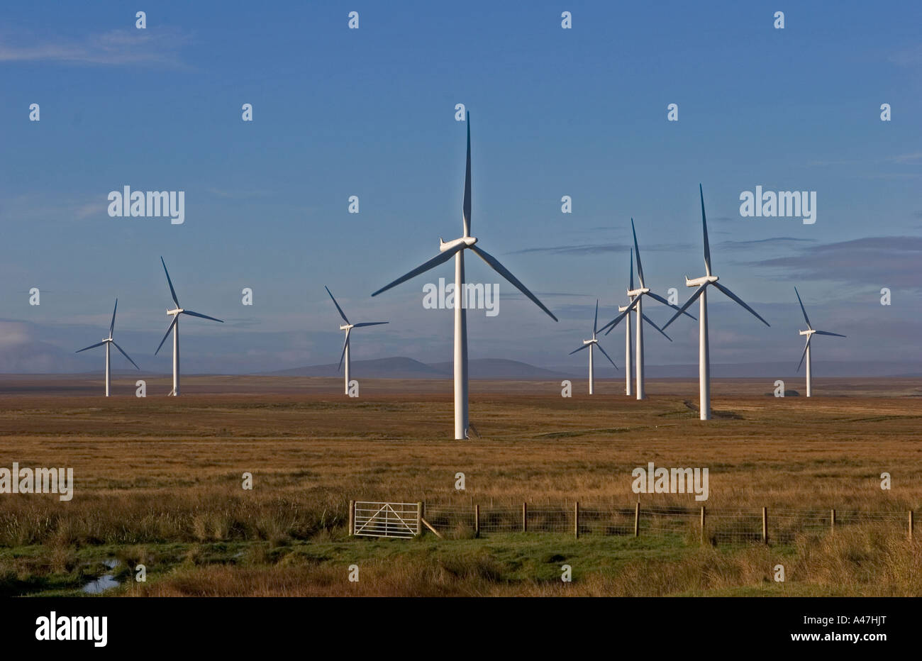 Il potere di vento turbine, Causeymire wind farm, a nord della Scozia, Regno Unito Foto Stock