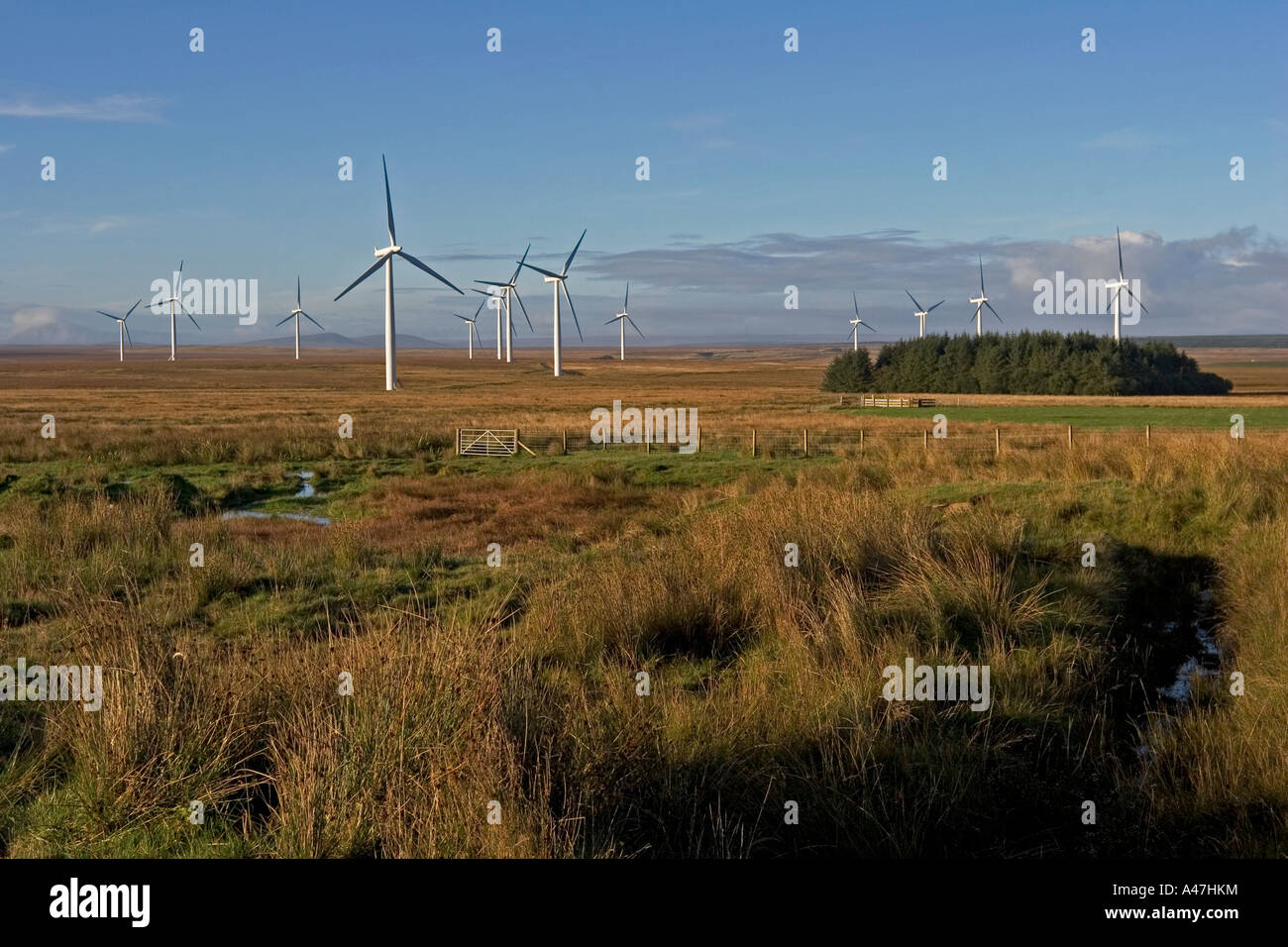 Il potere di vento turbine, Causeymire wind farm, a nord della Scozia, Regno Unito Foto Stock