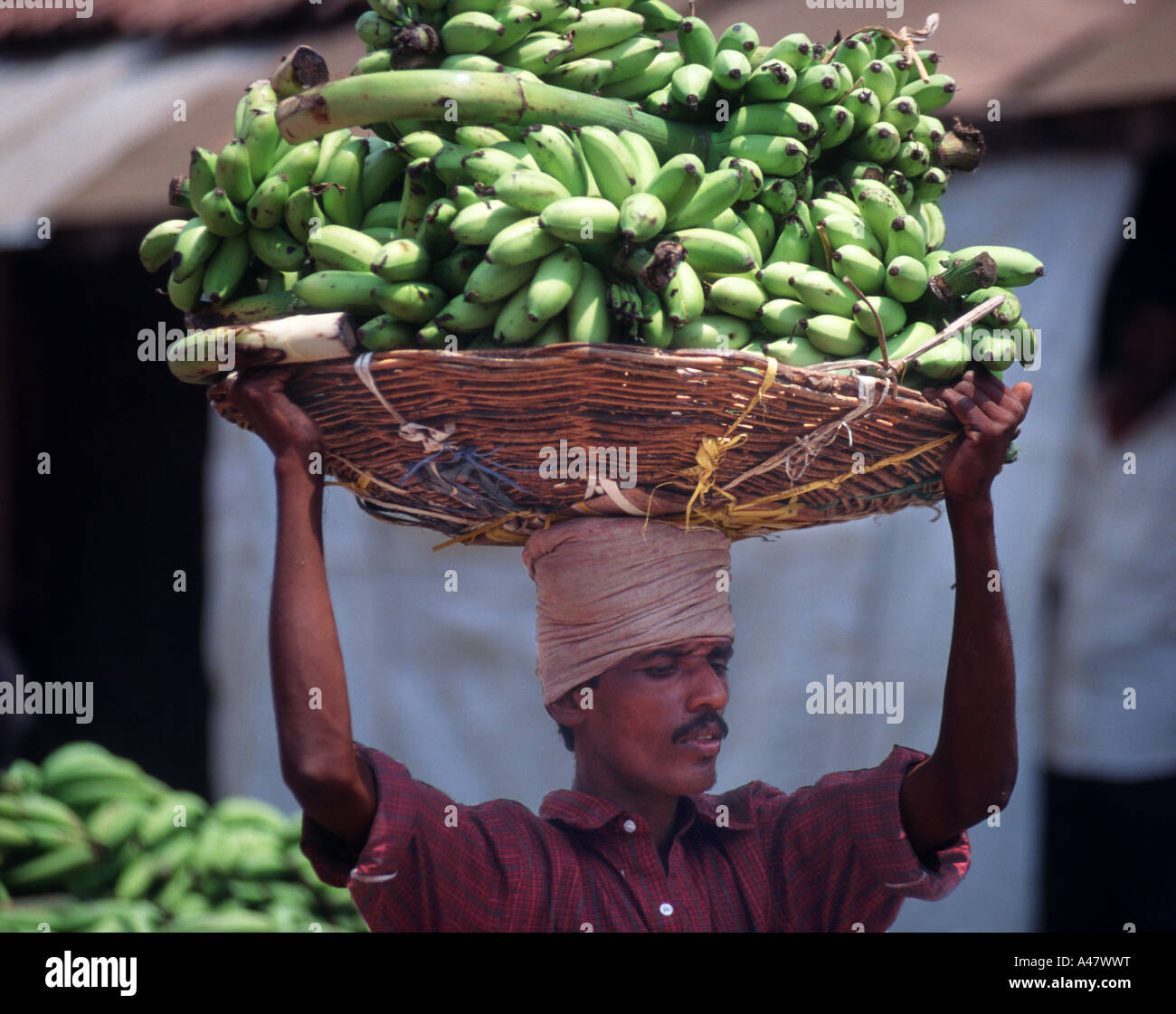 Un uomo che porta un cesto di banane sulla sua testa nel mercato a Mysore in India del Sud Foto Stock