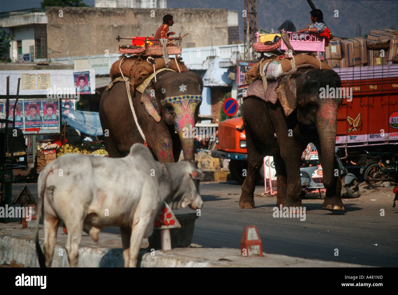 Gli elefanti sulla strada della vibrante 'Rosa Citta' di Jaipur, Rajasthan orientale, India. Foto Stock