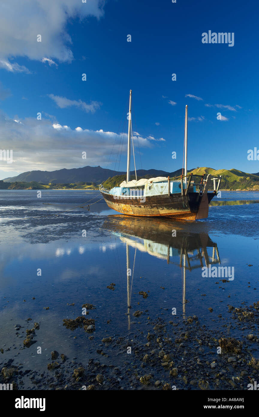 Una barca sul fango appartamenti dell'estuario di marea a Colville Bay Penisola di Coromandel Isola del nord della Nuova Zelanda NR Foto Stock