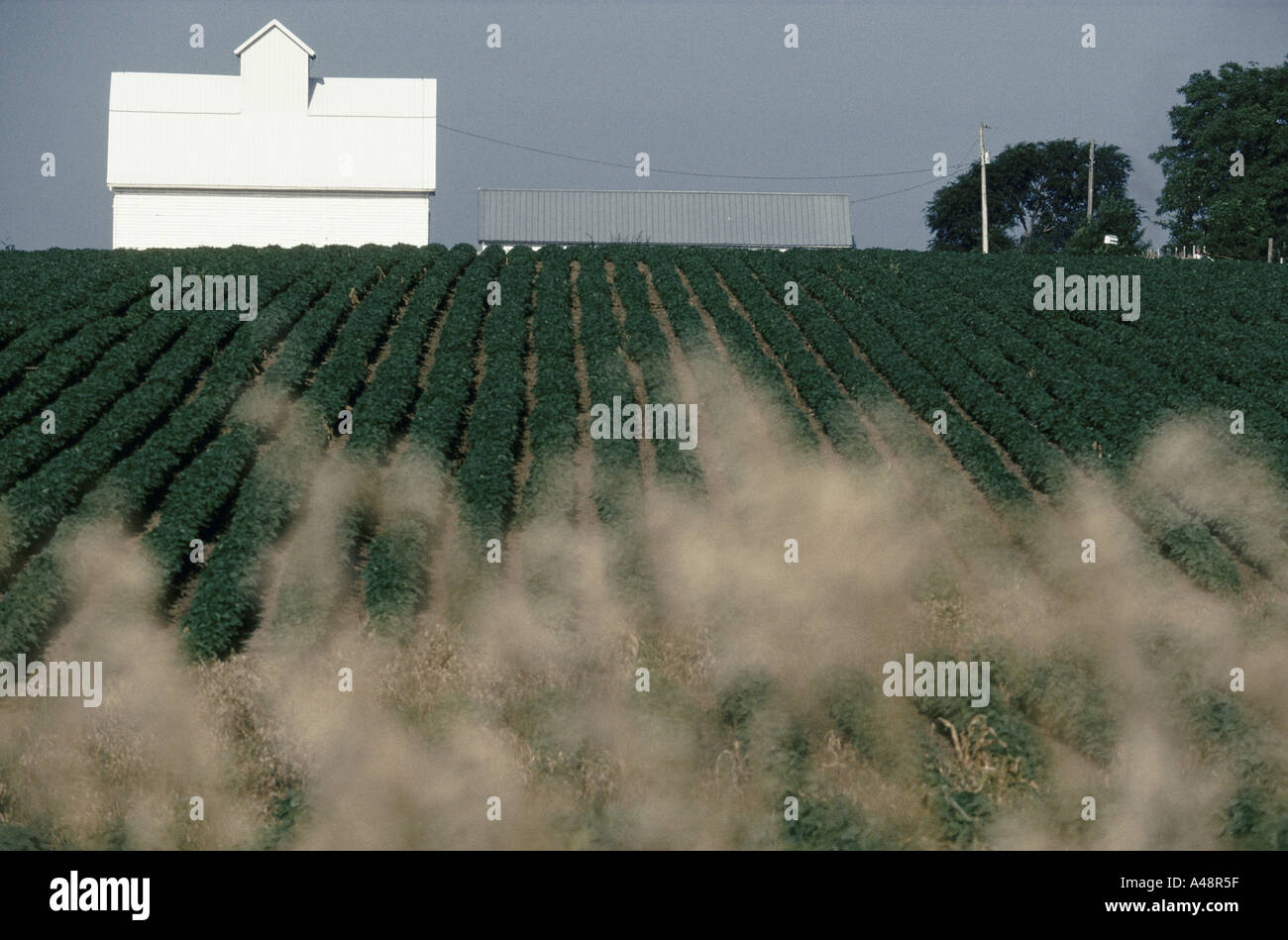 Lincoln Highway paese mais belle plaine Iowa 1993 Foto Stock