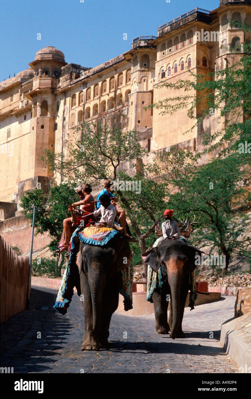 Fort Amber / Jaipur Foto Stock