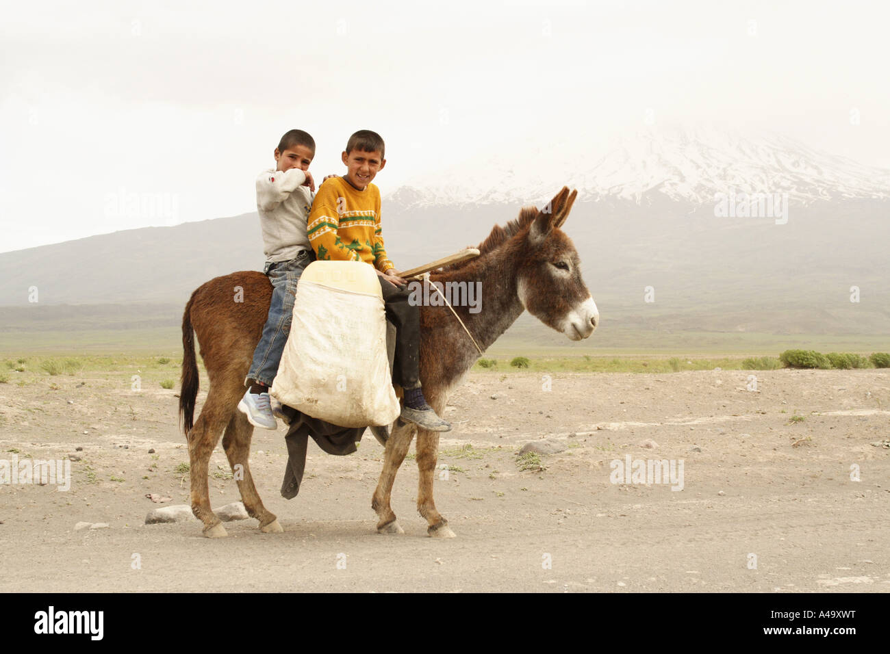 Asino domestico (Equus asinus f. asinus), bambini cavalcando un asino nella parte anteriore del Monte Ararat in presenza di luce solare, Turchia, Anatolia Orientale, Foto Stock