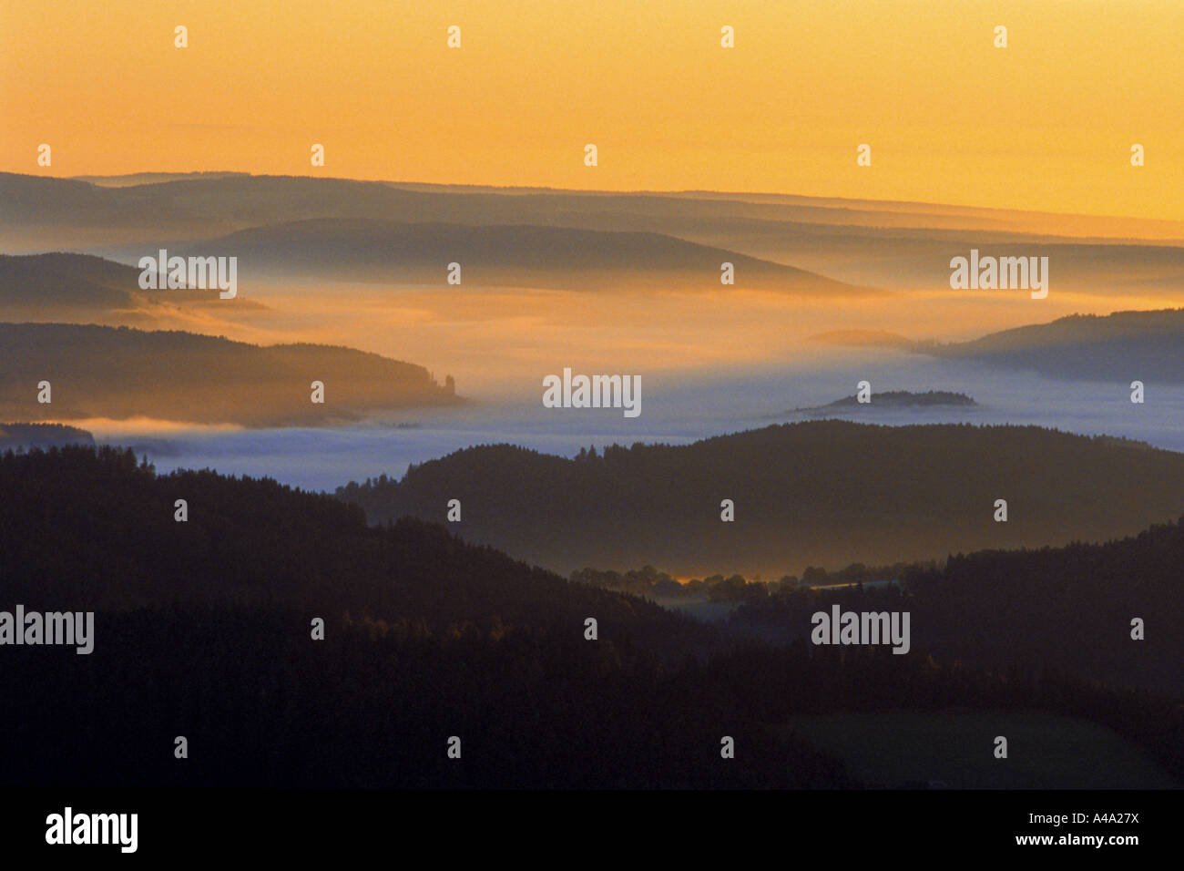 La nebbia nella Foresta Nera, Germania Foto Stock