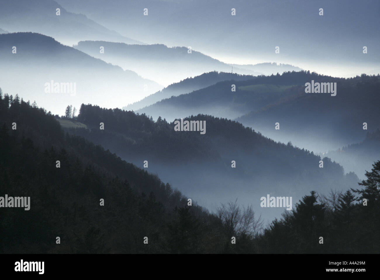 La nebbia nella Foresta Nera, vista di San Maergen, GERMANIA Baden-Wuerttemberg Foto Stock